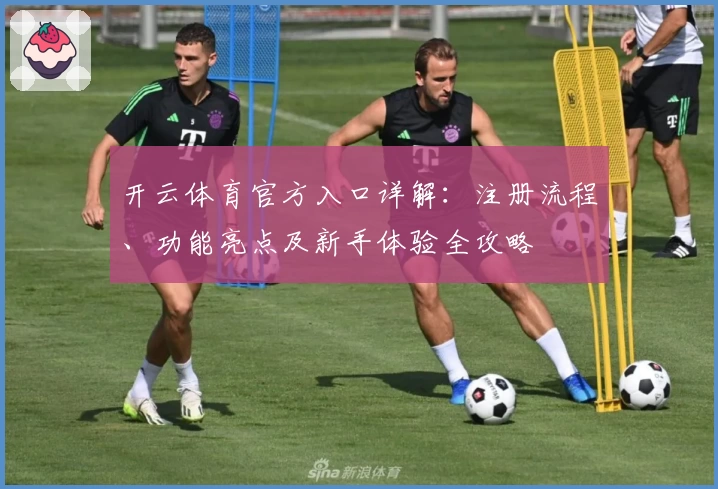 开云体育官方入口详解：注册流程、功能亮点及新手体验全攻略