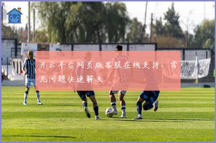开云平台网页版客服在线支持，常见问题快速解决