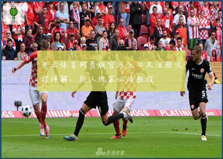 开云体育网页版官方入口及注册流程详解，新人玩家必读教程